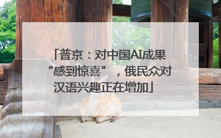 普京：对中国AI成果“感到惊喜”，俄民众对汉语兴趣正在增加